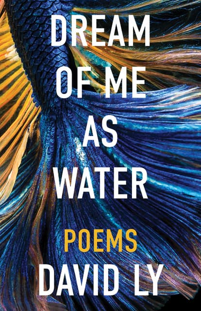 Cover of Dream of Me as Water