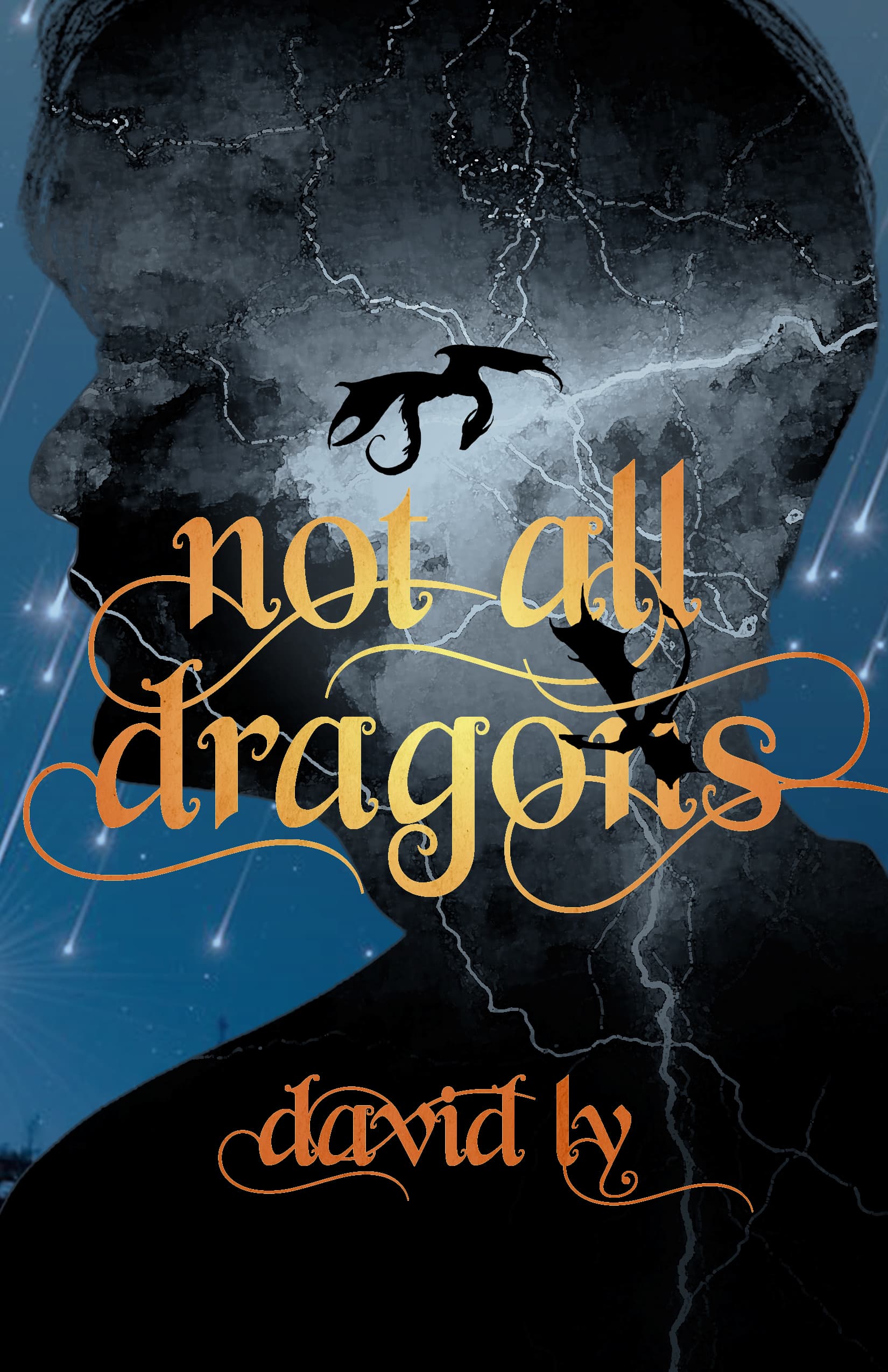 Cover of Not All Dragons by David Ly