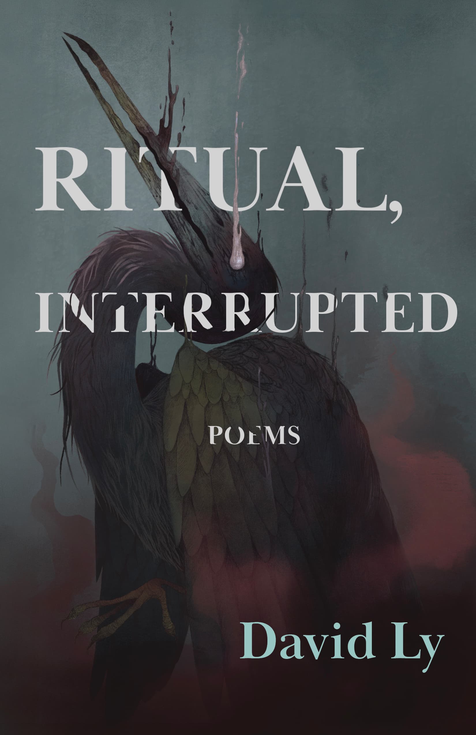 Cover of Ritual, Interrupted