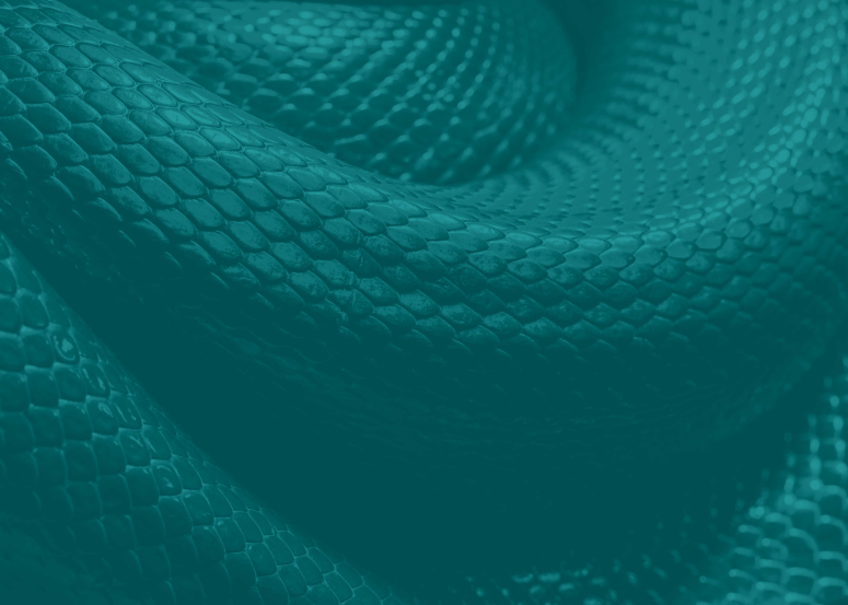 Review: Mythical Man in&nbsp;DVAN