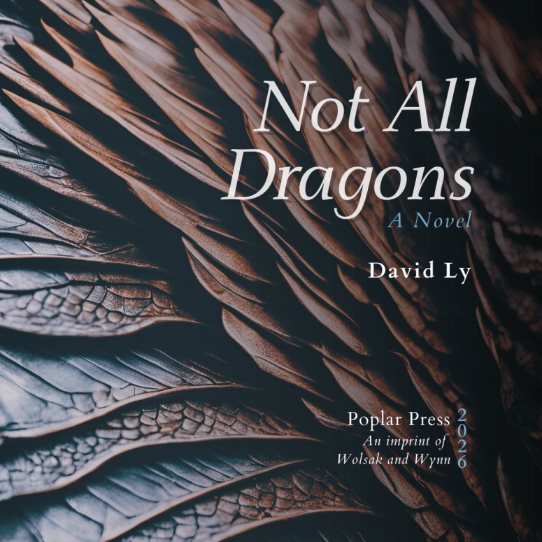 Not All Dragons: A&nbsp;Novel